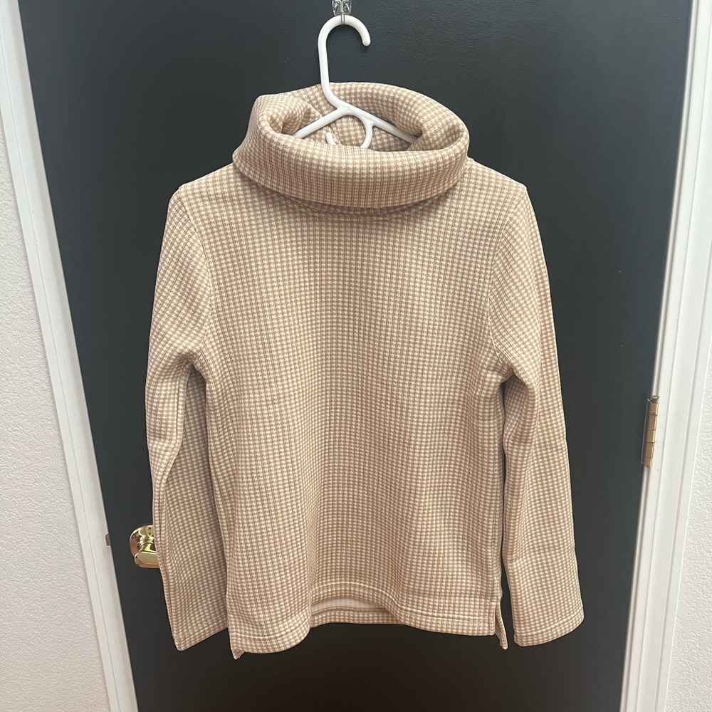 Cozy JCrew turtle neck sweater